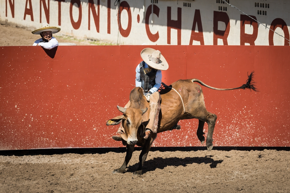A photo of a bull rider in San Antonio